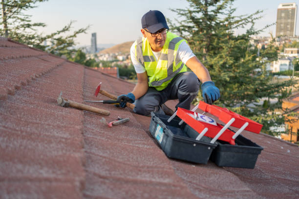 Siding Removal and Disposal in Agua Dulce, TX